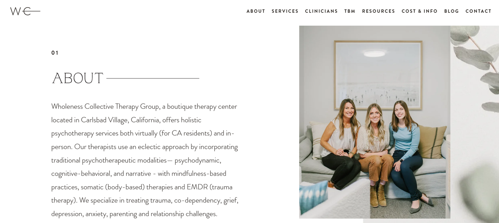 wholeness collective therapy